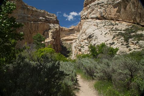 We did not find results for: Box Canyon Trail - Dinosaur National Monument (U.S ...