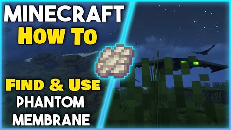 How To Find And Use Phantom Membrane Minecraft 120 Easy Tutorial