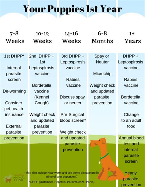 Puppy Deworming Schedule Chart