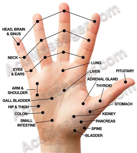 Body Pressure Points Chart