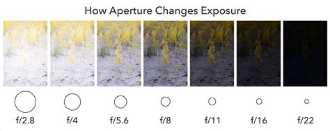 Everything Aperture Does To Your Photos