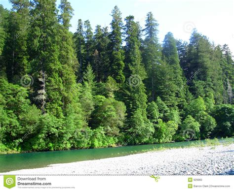 Riverside Landscape Stock Photo Image Of Tree Lake Riverbed 929960