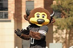 CU women's lacrosse wins historic first game at Folsom