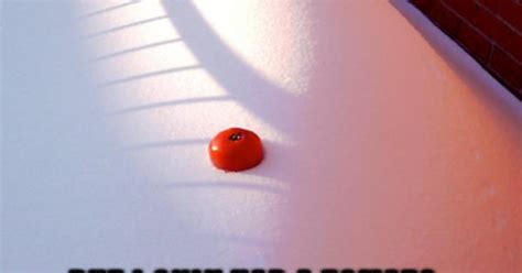Tomato In The Snow Meme On Imgur