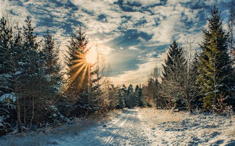 Winter Hd Wallpaper Background Image 2048x1280