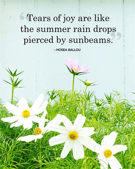 30 Absolutely Beautiful Quotes About Summer Summer