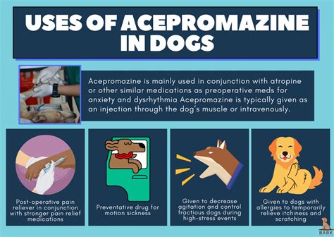 Everything You Need To Know About Acepromazine For Dogs Bark For More