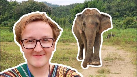 Elephants And Homesickness The Travel Journal Youtube