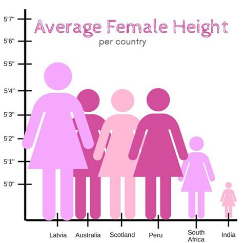 The Scale On This Female Height Comparison Chart Gag