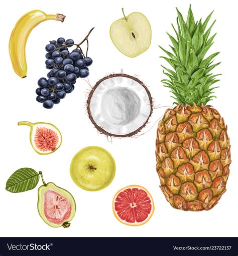 Fresh Juicy Fruit Collection Royalty Free Vector Image