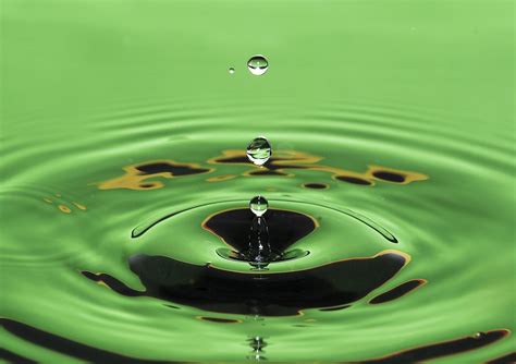 Free Images Water Drop Liquid Leaf Flower Green Drip Surface