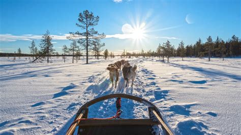 Lappland Finnland Winter Mesmerizing Winter Wonderland Photos Of
