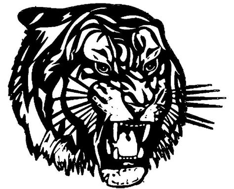 Tiger Head Coloring Pages Ferrisquinlanjamal