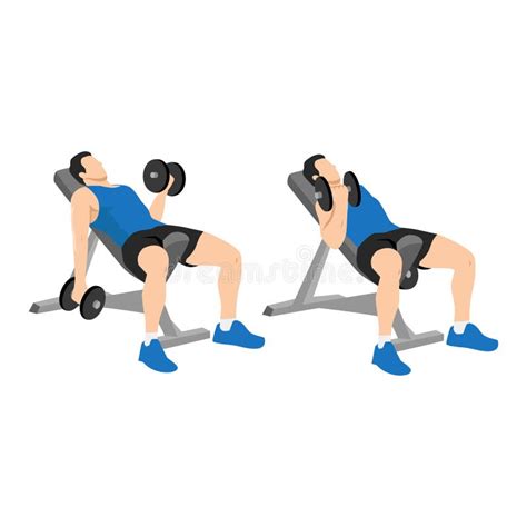 Seated Bicep Curls Stock Illustrations 33 Seated Bicep Curls Stock