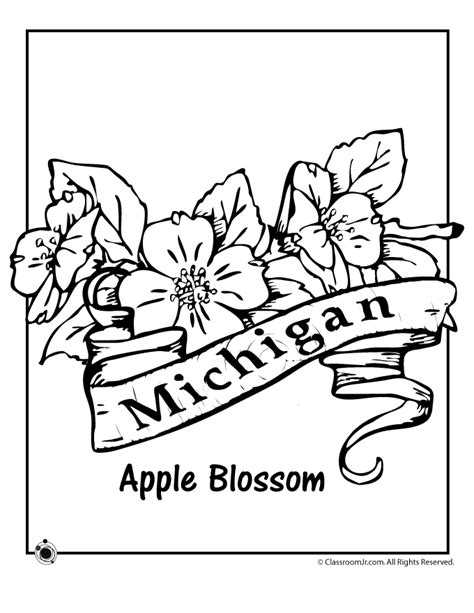 Download Michigan Coloring For Free Designlooter 2020 👨‍🎨