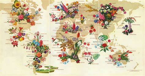 National Geographic Infographics Is A Gorgeous Collection Of Classic Data Visualizations Wired