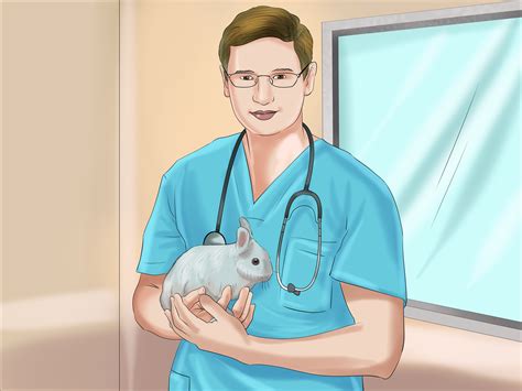 How to raise rabbits for meat humanely and for sustainability. How to Determine the Sex of a Rabbit: 10 Steps (with Pictures)