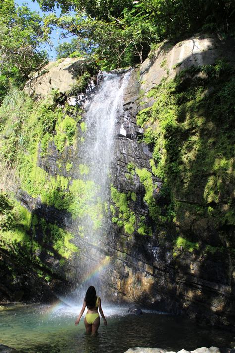 How Do I Find Juan Diego Falls A Complete Guide To El Yunque S Secret Waterfall Vanessa Aguirre