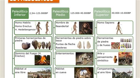 Assinale A Alternativa Que Apresenta Características Do Período Paleolítico