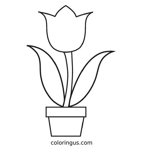 Tulip Coloring Pages Free Printable Sheets