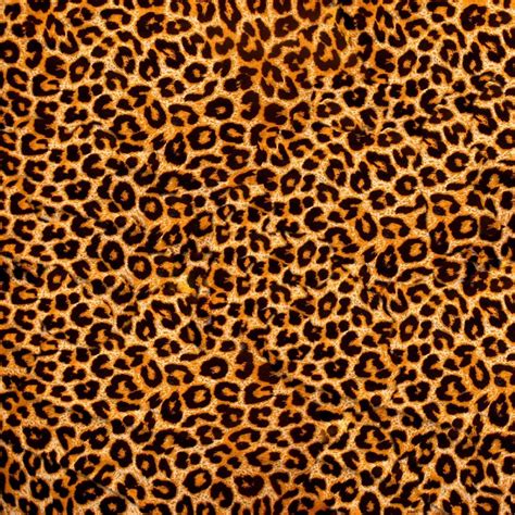 Leopard Print Backdrop For Photography Backdrops Sexy Party Etsy