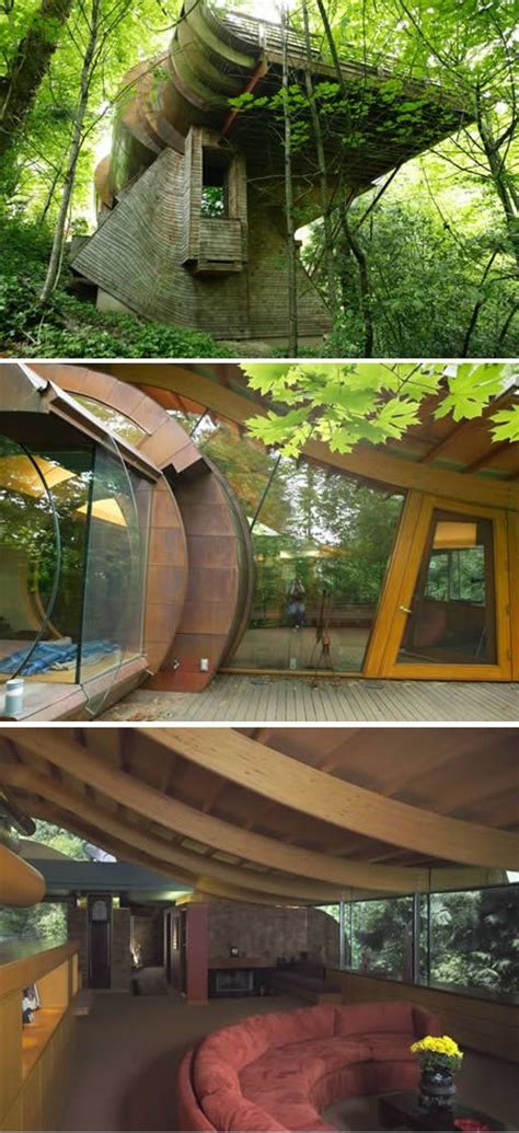 Pin On Architecture Tree Houses