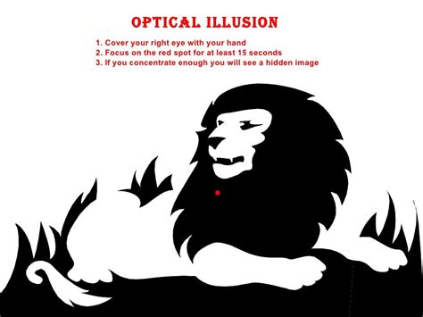 Lion Optical Illusion