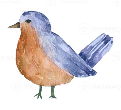 Free Bird Watercolor Animal 15131659 Png With Transparent Background