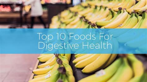 Top 10 Foods For Digestive Health Jason Wrobel