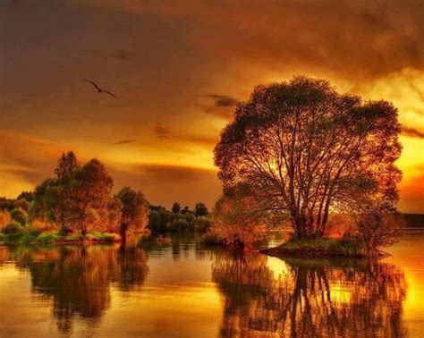 Gorgeous Fall Sunset Pictures Photos And Images For
