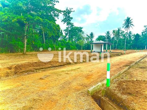 Kurunegala Land For Sale Ikman