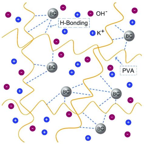 The Schematic Diagram Of Pva Bc Koh Electrolyte Membrane Structure