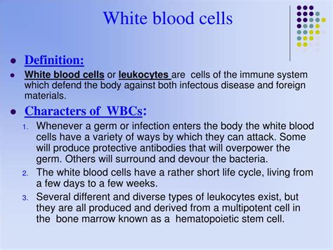 Ppt White Blood Cells Powerpoint Presentation Free Download Id5375811