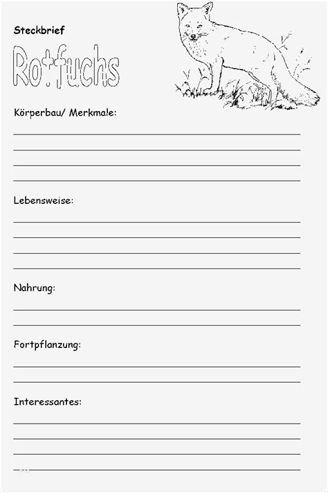 Steckbrief haustier blanko kostenlos : Steckbrief Tiere Grundschule Vorlage Hübsch Sc...