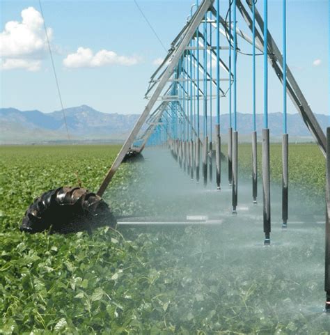 Iran Irrigation Efficiency At 45 Financial Tribune