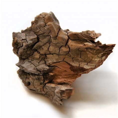 Lebanese Cedar Wood - Materials - Materials Library - Institute of Making