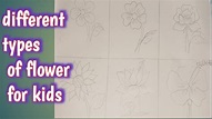 How to draw different types of flower for kids // How do you draw a simple flower - YouTube