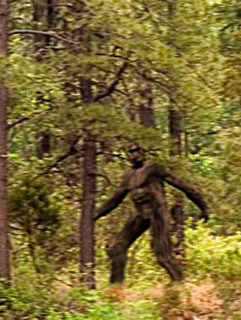 Bigfoot Investigator Claims He Has Proof Legendary Monster Is Hiding