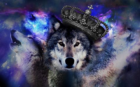 Wolf Wallpaper Epic - Epic Wolf Wallpapers Top Free Epic Wolf Backgrounds Wallpaperaccess - Epic 