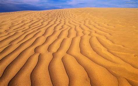 Desert Sand Background Wallpaper 1920x1200 7934