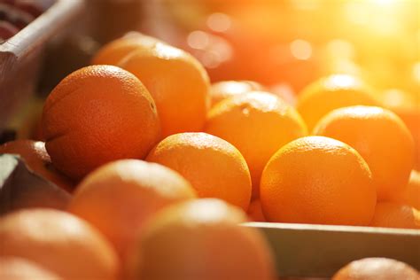 Oranges With Seeds How They Differ From Seedless Ones Fanatically Food