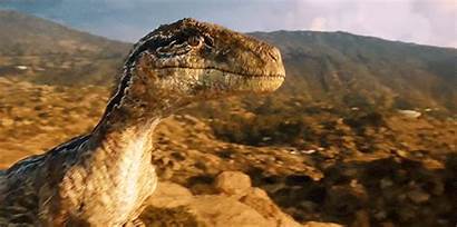 Jurassic Park Raptor Fallen Kingdom Dinosaurs Google