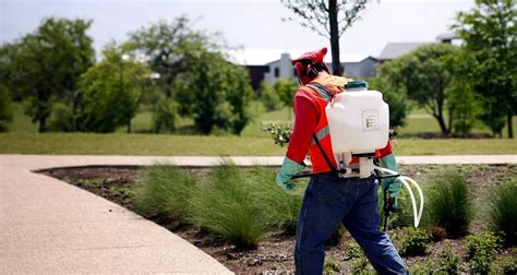 We offer the following services, landscape construction, landscape maintenance, tree service, concrete, block wall, yard clean up. What Is Included In Landscaping Maintenance? - BSG ...