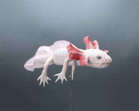 Paper Axolotl Faltmanufaktur Tina Kraus