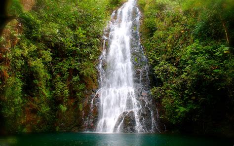 10 Belize Waterfalls Worth Chasing Roam Wild Travel Co