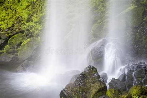 Elowah Falls Columbia Gorge Oregon Stock Image Image Of Nature