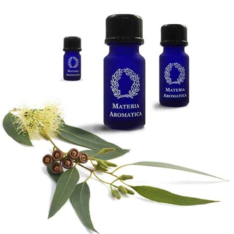 Materia Aromatica Eucalyptus Citriadora 5ml The Natural Health Hub