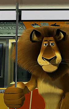 amazing animated lion gifs  animations