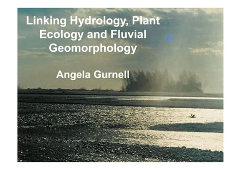 Linking Hydrology Plant Ecology And Fluvial Geomorphology