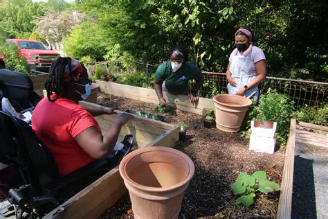 Trellis Horticultural Therapy Alliance Brings Adaptive Gardening To
